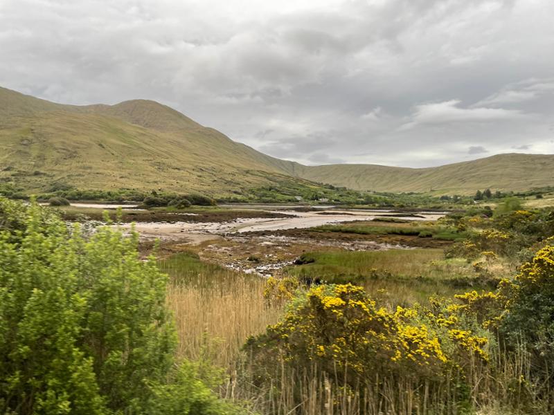 Trafalgar’s Best of Ireland - Absolutely Amazing