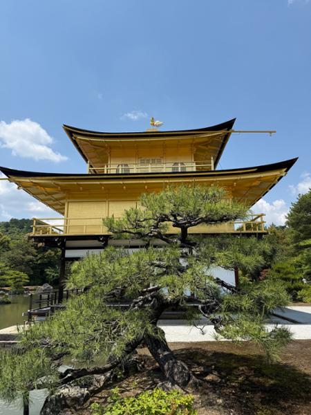 5836-Japan Discovery