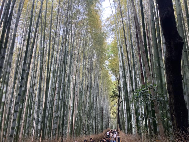 Great tour fantastic scenery