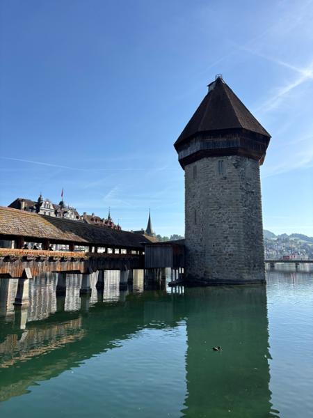4765-Trains of Switzerland