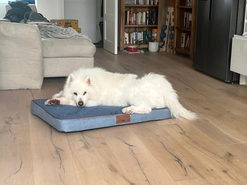 Holbury Dog Mattress For Large Dogs | Blue Yonder Colour, Replacement Cover