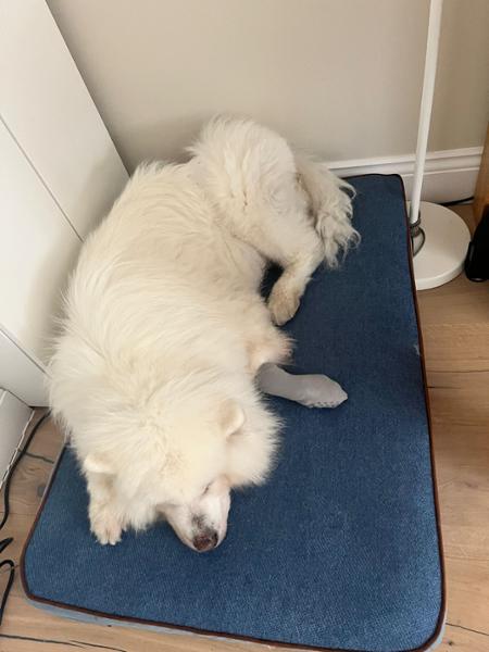 Holbury Dog Mattress For Large Dogs | Blue Yonder Colour, Replacement Cover