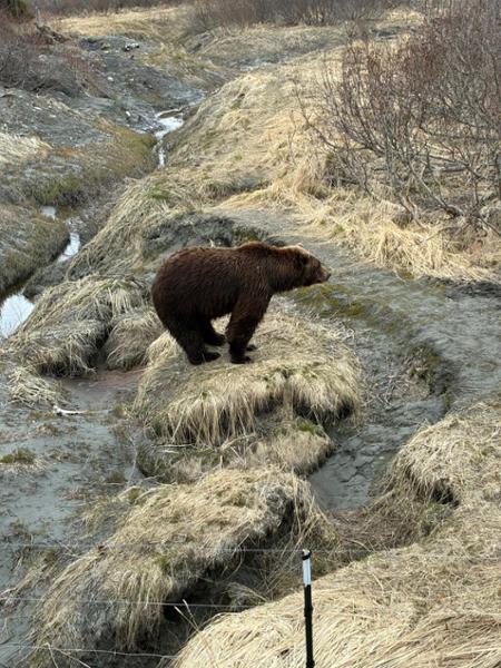 5700-Ultimate Yellowstone, Alaska & Canada