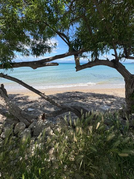 A very enjoyable Corfu holiday in a beautiful peaceful environment