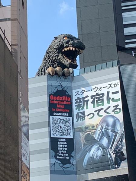 5865-Unbeatable Japan
