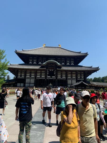 5865-Unbeatable Japan