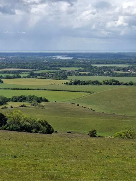 Your holiday: South Downs - Gentle Guided Walking
