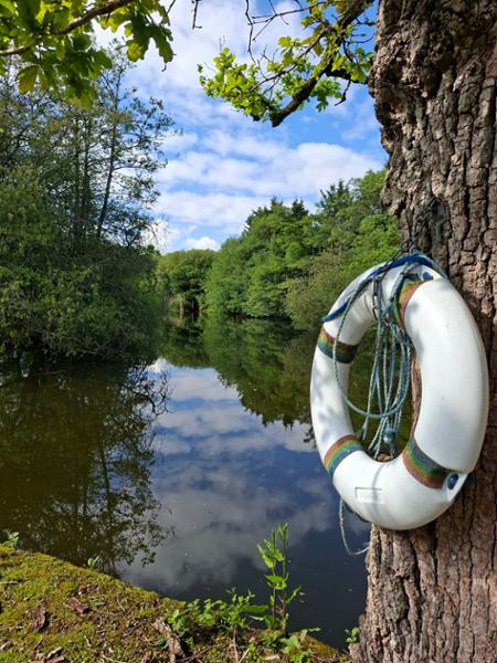 Your holiday: South Downs - Gentle Guided Walking