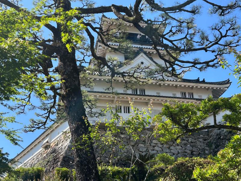 5626-Southern Japan Discovery