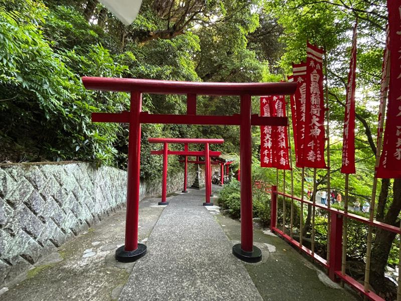5626-Southern Japan Discovery