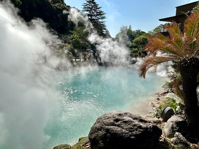 5626-Southern Japan Discovery