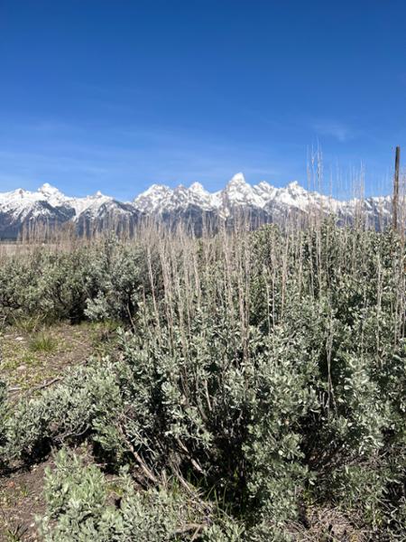 Five Epic National Parks