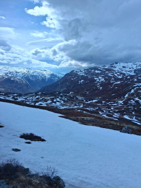 Your tour in Skjolden - Skjolden Nature Walk