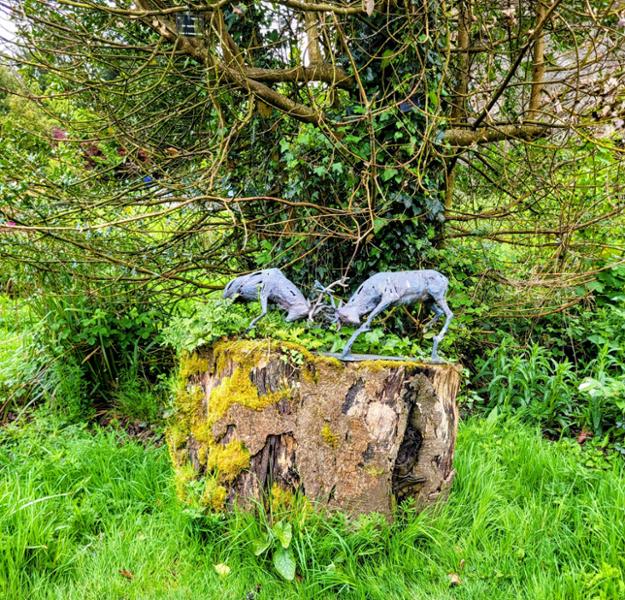 Shades of Ireland on 05/02/2026