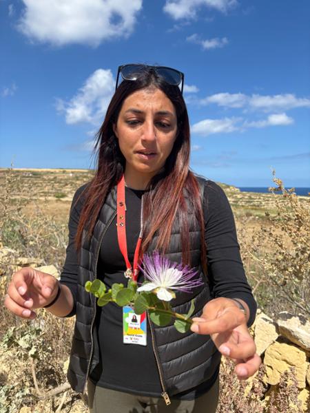 Malta and Gozo Discovery