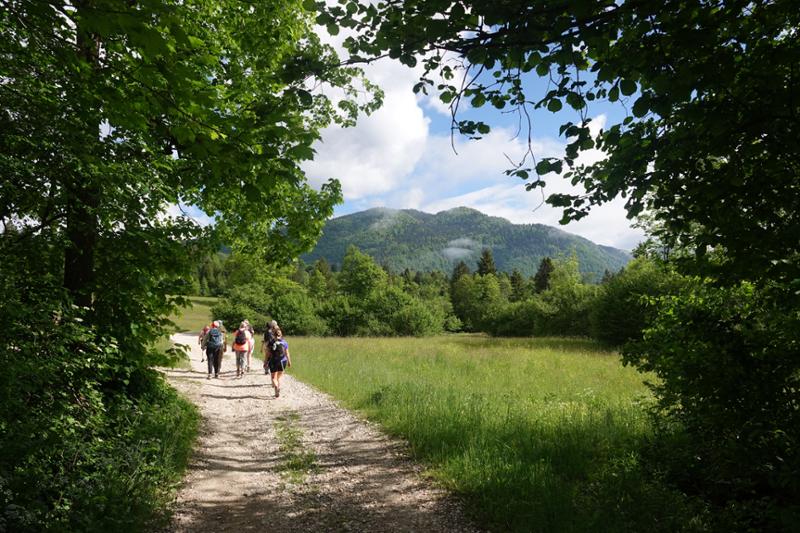 Walking in Slovenia