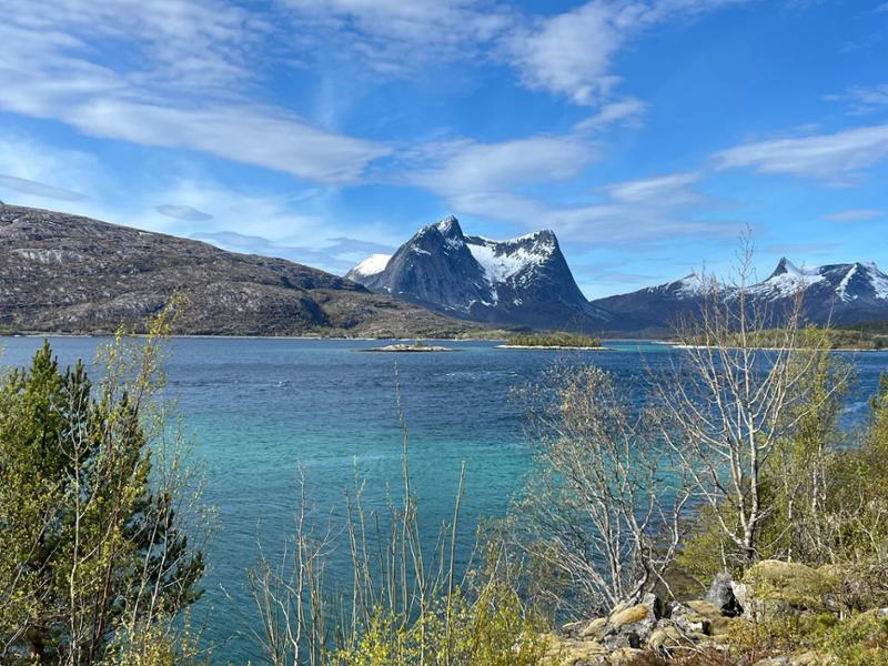 Grand Scandinavia