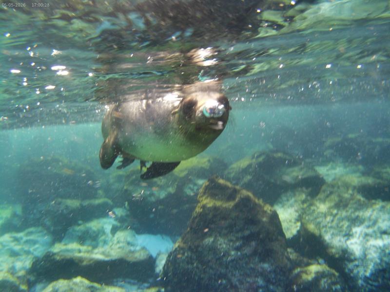 Can not recommend SwinQuest enough for fantastic swim holidays