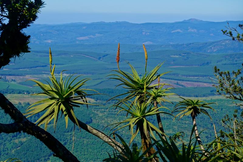 South Africa & Victoria Falls Tour