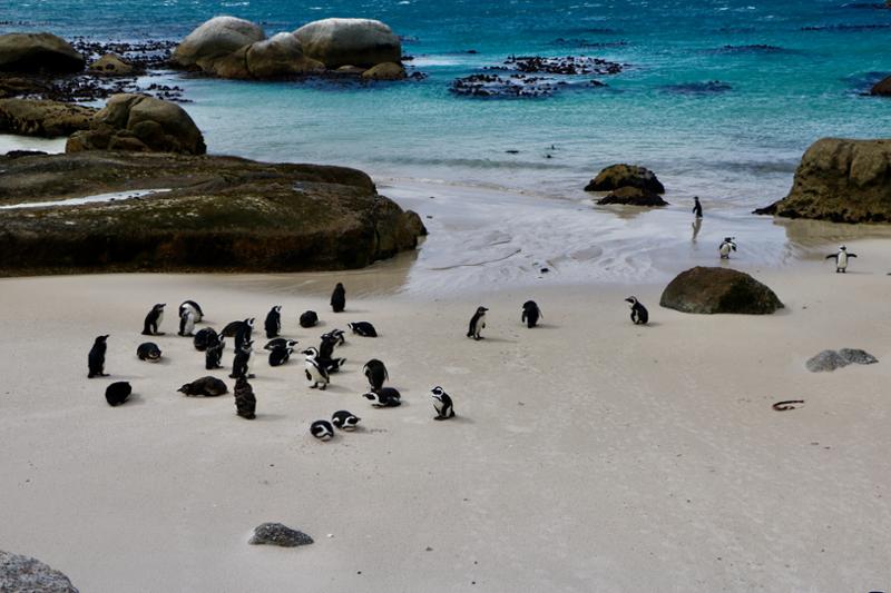 South Africa & Victoria Falls Tour