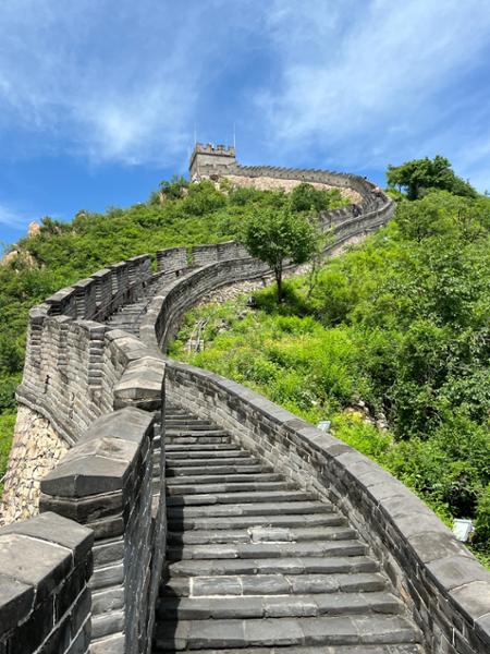 4822-2 for 1 Warriors of China