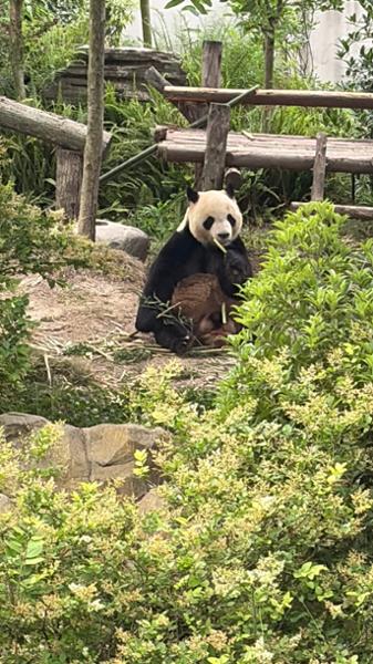 5043-Natural Wonders of China
