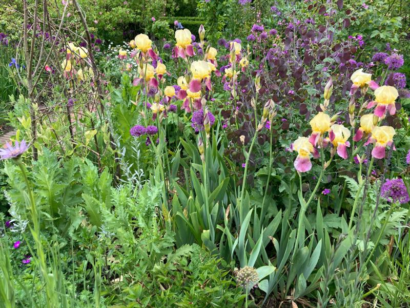 A wonderful garden tour