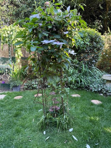 Mushrooms Plant Stake Sculpture