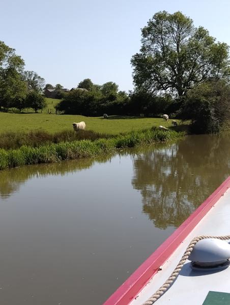 The best holiday I've had in a while exploring different canals and enjoyin