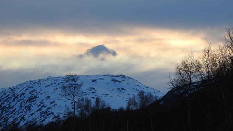 Scandinavia