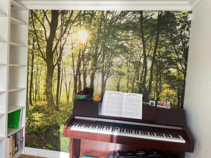 Mural transformed the room