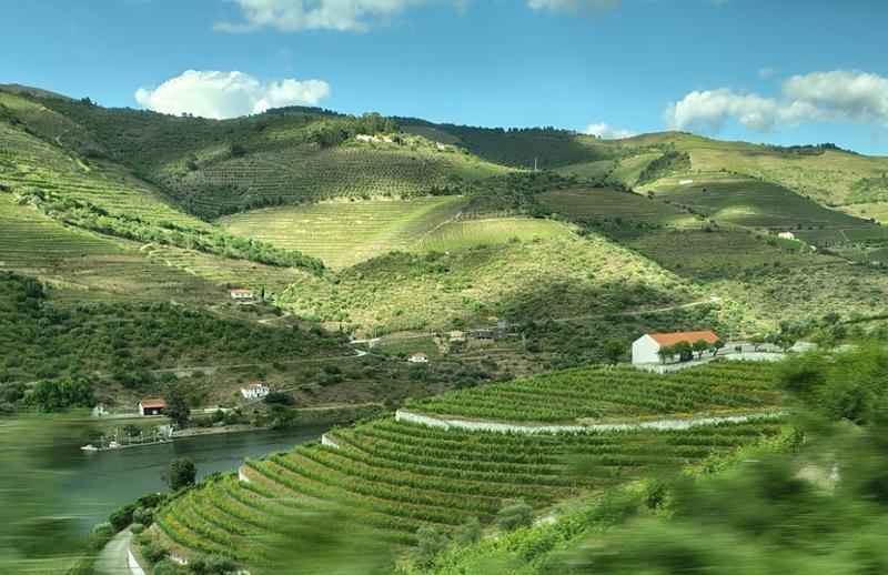 Douro  Porto & Salamanca River Cruise
