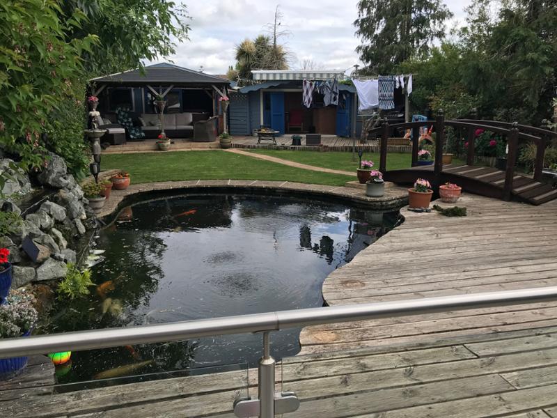 Help with my pond