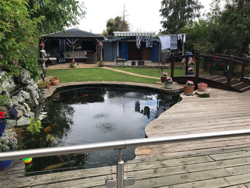 Help with my pond