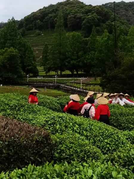 5364-Incredible China