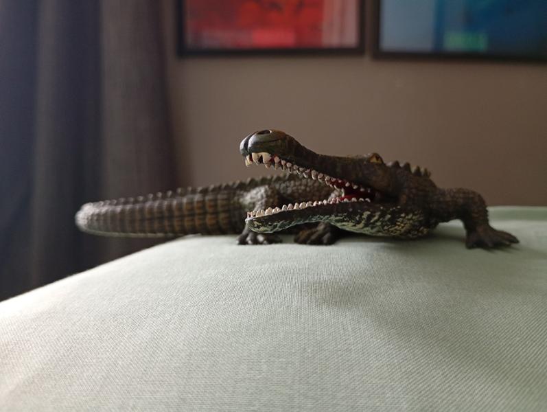 My experience with "Everything Dinosaur"