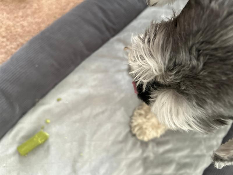Dental Stick Bundle For Dogs