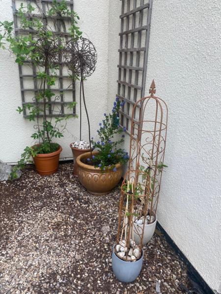 Beautiful feature to any garden.