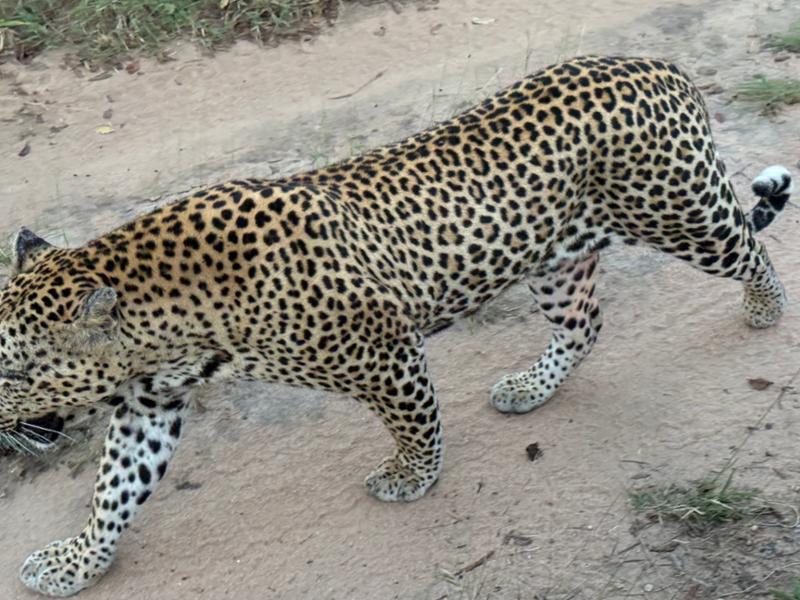 Amazing trip planned by experts in Africa!