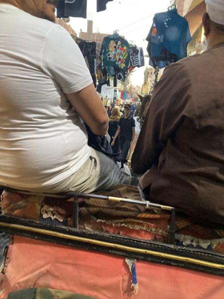 5858-Best of Egypt for 2