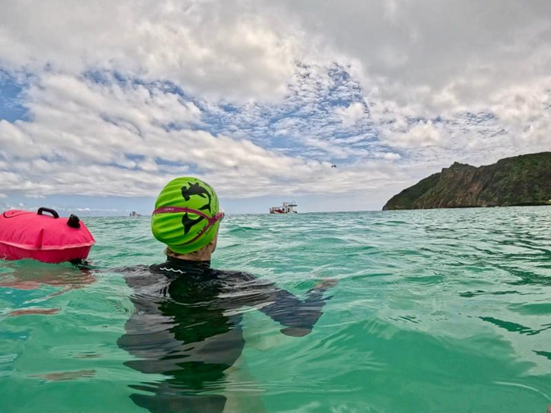 A professional, friendly, fun-packed swimming & wildlife experience