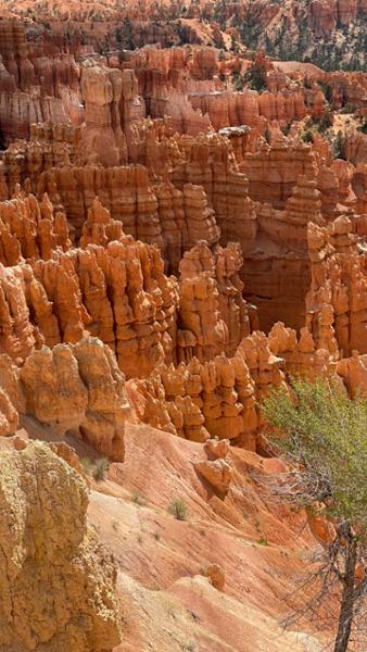 Wonders of the American West