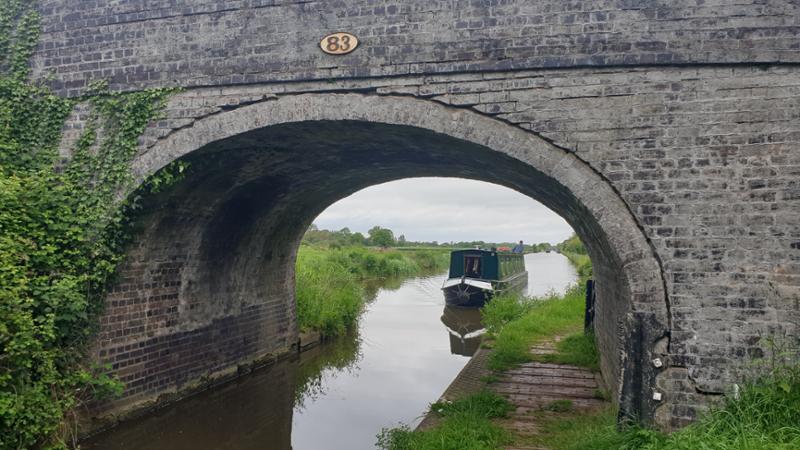 Your recent holiday on Golden Goose - Firth Class from Bunbury Lock