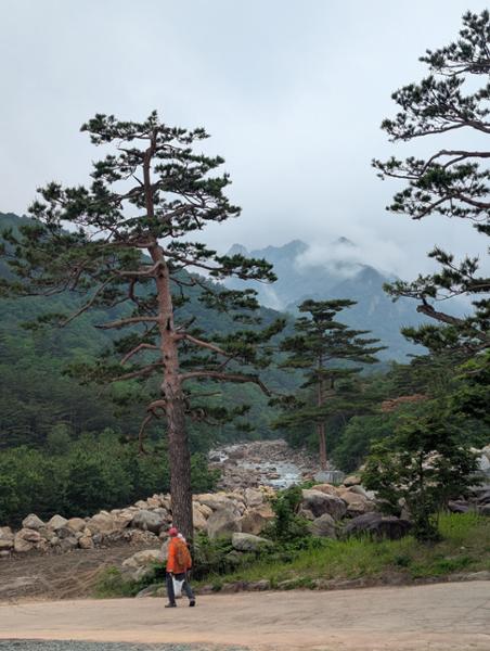 5055-Grand South Korea