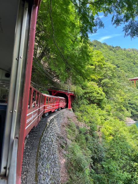 5545-Ultimate Japan