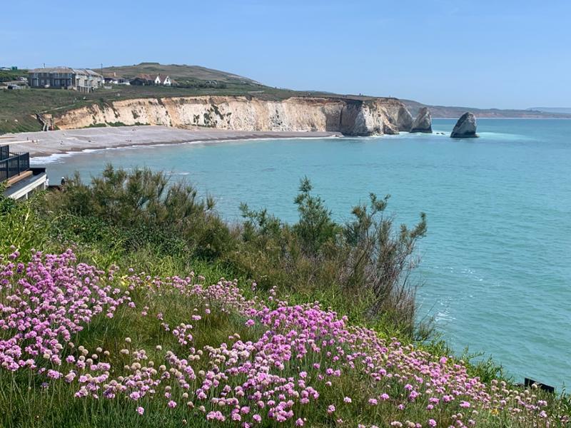 Your holiday: Isle of Wight  - Self Guided Walking