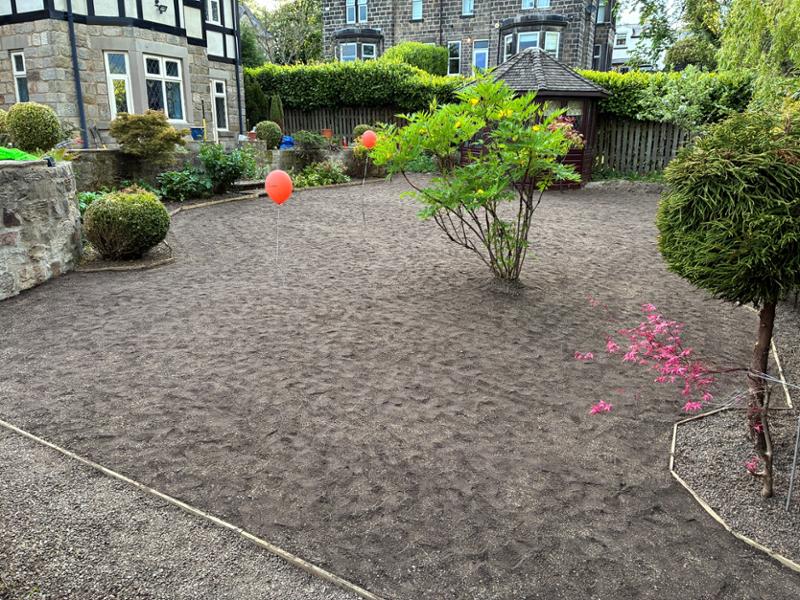 New lawn with Restore seed mix