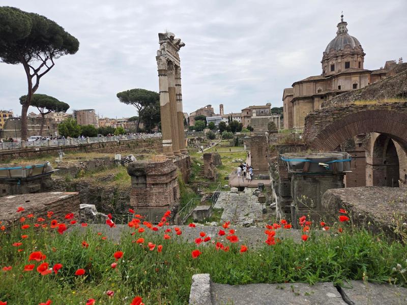 Treasures of Italy