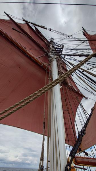 Perfect first-time tall ship trip.