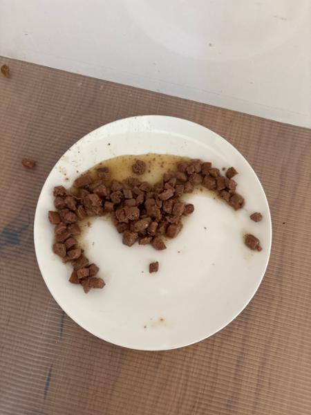 Lily's Kitchen Texture Taster Bundle For Cats - Wet Cat Food In Gravy, Jelly, Broth & Paté - Grain-Free Recipe